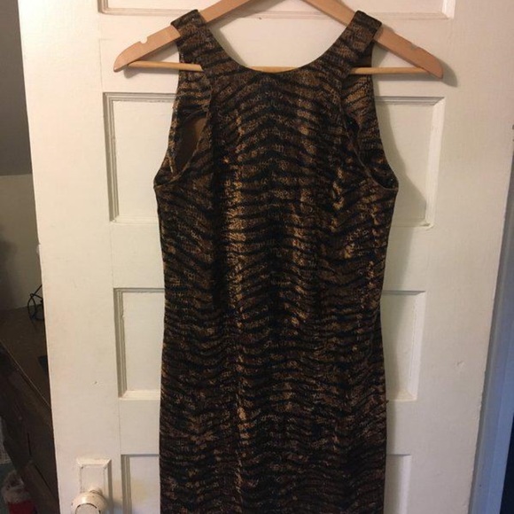 Hyena Striped Velvety Body Con Dress - Picture 2 of 8